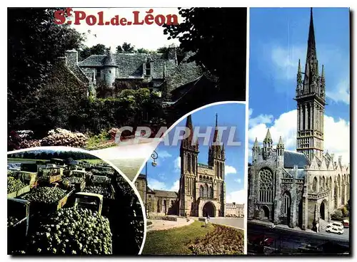 Cartes postales moderne Saint Paul de Leon Nord Finistere