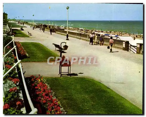 Cartes postales moderne La Cote Cabourg Calvados la Promenade et la Plage