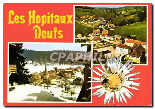 Cartes postales moderne Les Hospitaux Deufs