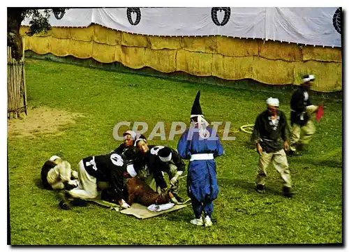 Cartes postales moderne Tsonukin Nara