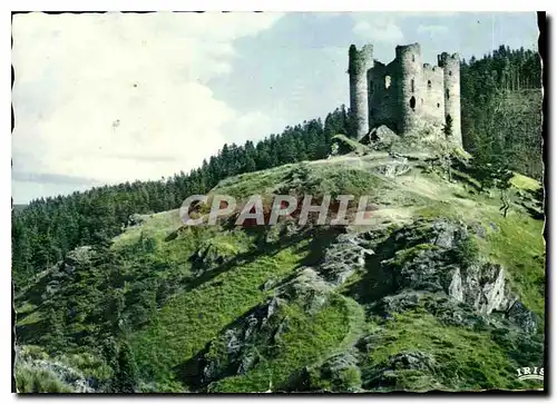 Cartes postales moderne Cantal Pittoresque La Chateau d'Alleuze