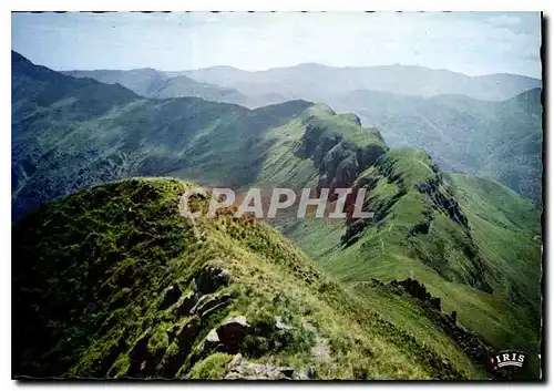 Cartes postales moderne Le Cantal Pittoresque Le Puy Mary