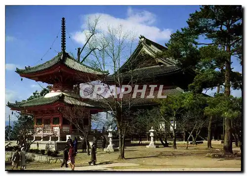 Cartes postales moderne Chon en Temple