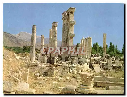 Cartes postales moderne Apa Ofset Sasimevi Istanbul