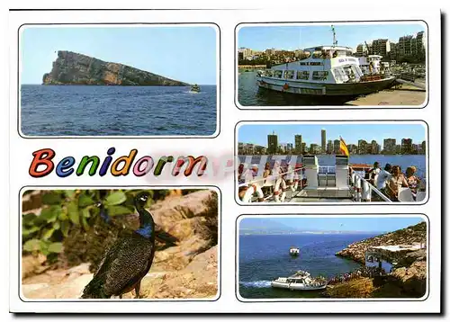 Cartes postales moderne Benidorm Espana La Isla