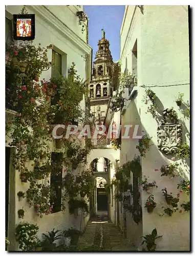 Cartes postales moderne Cordoba