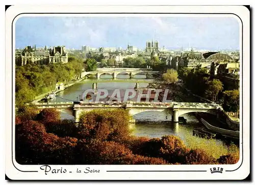 Cartes postales moderne Les bords de la Seine en automne Au loin Notre Dame