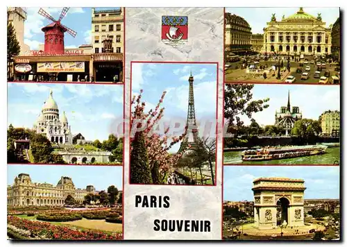 Cartes postales moderne Souvenir de Paris