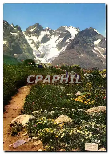 Cartes postales moderne Route de Grenoble a Briancon Le Jardin Alpin au Col du Lautaret et Mas sif de la Meije
