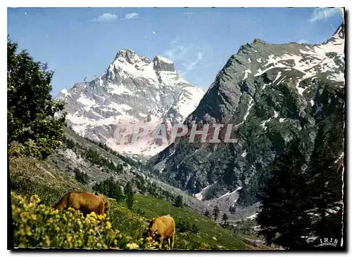 Cartes postales moderne Dans les Alpes Alpages du Mont Viso