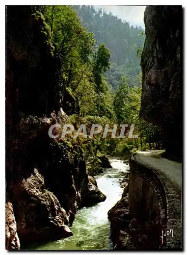 Cartes postales moderne Monastere de la Grande Chartreuse Route de la Grande Chartreuse Entree du desert