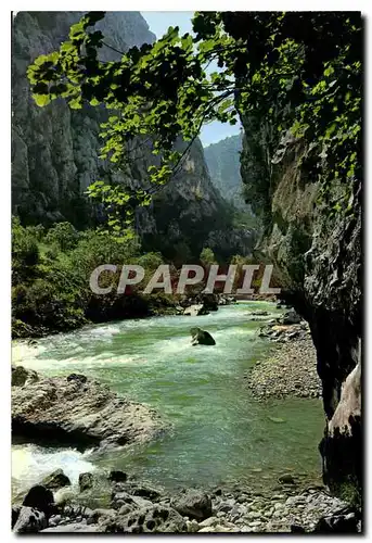 Cartes postales moderne Les Gorges Pittorestiques de Verdon