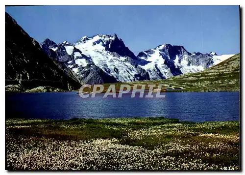 Cartes postales moderne En Oisans Les Linaigrettes bord du Goleon La Meije et le Rateau