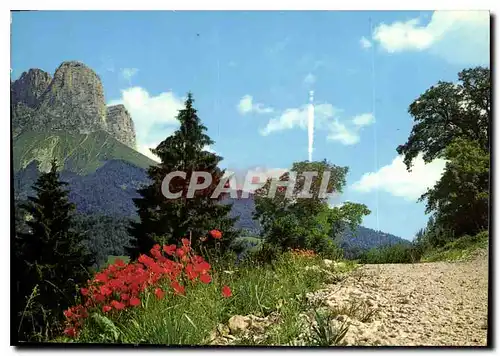 Cartes postales moderne Promanade aux environs du Col de l'Arzelier