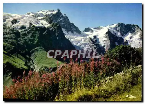 Cartes postales moderne Nos Belles Alpes La Meije