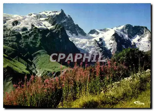 Moderne Karte Nos Belles Alpes La Meije