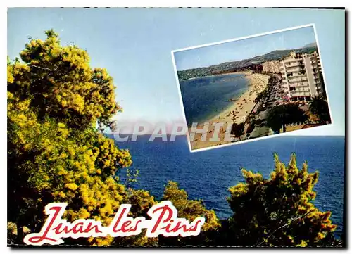 Moderne Karte Reflets de la Cote d'Azur Juan les Pins A Mmes
