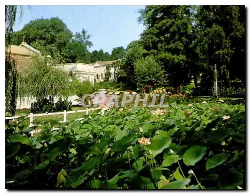 Cartes postales moderne Barbotan les Thermes le Parc aux Lotus