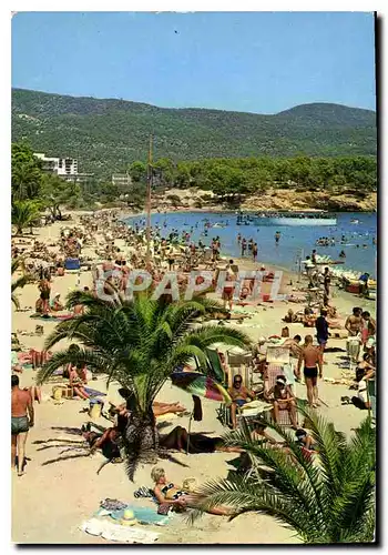 Cartes postales moderne Mallorca Espana Palma Nova Bists de les Playas