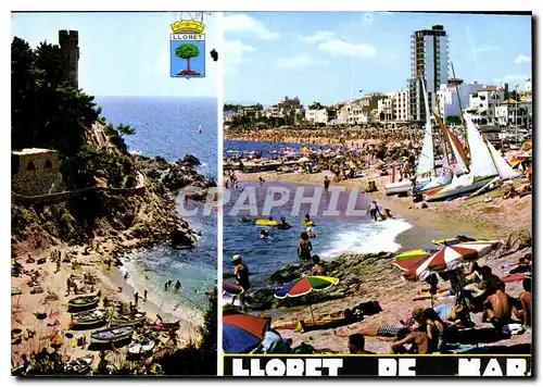 Cartes postales moderne Costa Brava Lioret de Mar