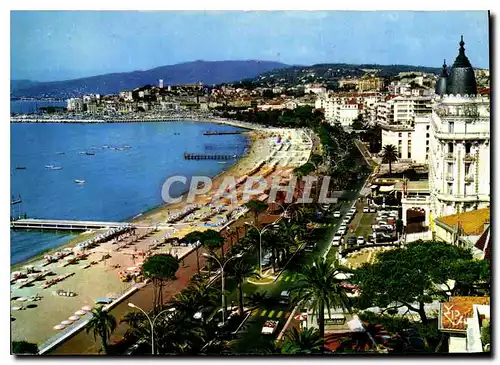 Cartes postales moderne Au Soleil de la Cote d'Azur Cannes la croisette et le Suquet