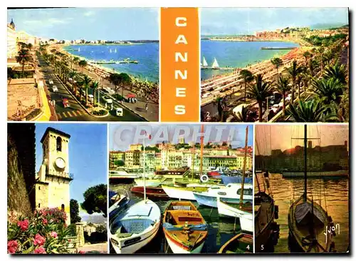 Cartes postales moderne La Cote d'Azur miracle de la nature cannes Alpes Maritimes la Croisette et les Grands hotels vue