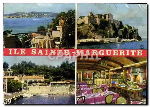 Cartes postales moderne Ile Sainte Marguerite cannes l'escale Hotel Restaurant Poissons du Pays Bouillabaisse Langoustes