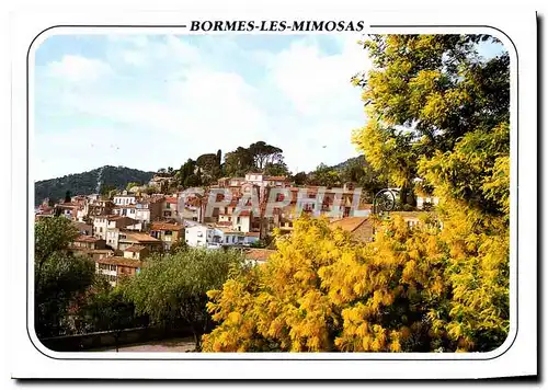 Cartes postales moderne Au Soleil de la Cote d'Azur Bormes les Mimosas le Village