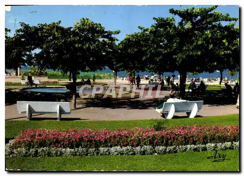 Cartes postales moderne Martigues la Venise Provencale le Jardin et la Plage