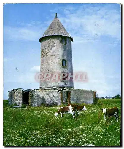 Cartes postales moderne Vendee Pittoresque une Vieux Moulin