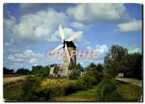 Cartes postales moderne La Vendee Touristique Moulin dans le Marais Moulin de raire Sallertaine Dernier Moulin a Vent en