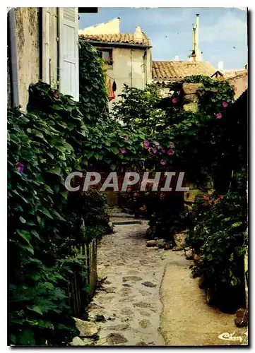 Cartes postales moderne Ramatuelle Var Rue des Amoureux