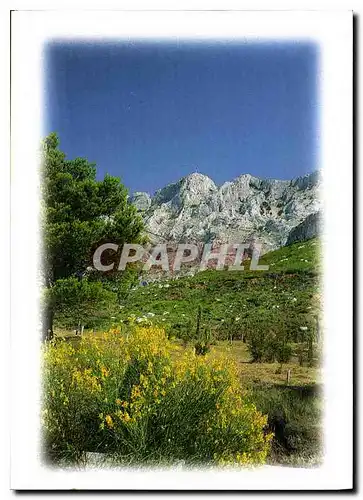 Cartes postales moderne La Provence et ses Charmes Aix en provence Montagne Sainte Victoire