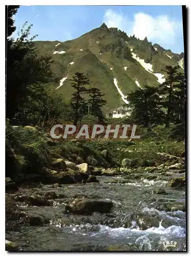 Cartes postales moderne Auvergne la Dordogne au pied du Sancy