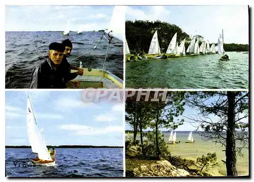 Cartes postales moderne Visage des Landes course de regates sur nos Locs le Tranquille miroir est Picore de Voiles qui s