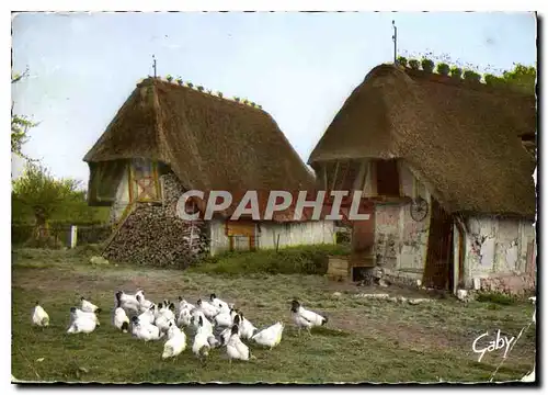 Cartes postales moderne La Normandie Cour de Ferme