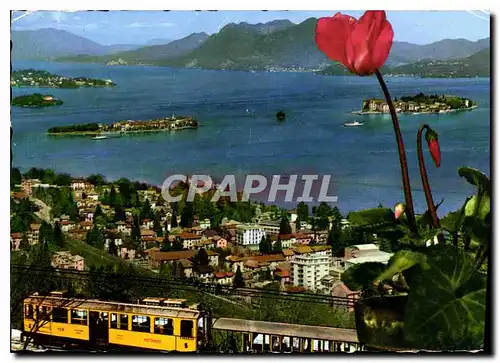 Cartes postales moderne Lago Maggiore stresa e le isole Borromee