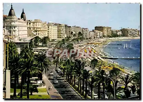 Cartes postales moderne La Cote d'Azur cannes A M la Croisette la Plage le Carito le Miramar et le Martinez