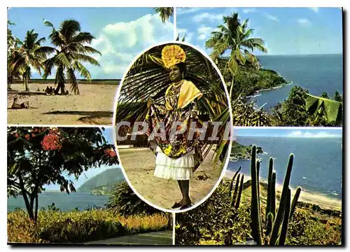 Cartes postales moderne En Guadeloupe