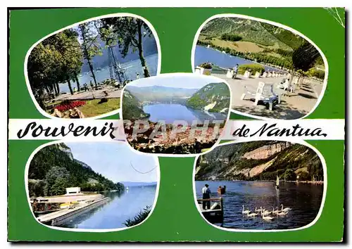 Moderne Karte Nantua Ain la Plage vue generale Avenue du Lac Monument aux deportes de l'Ain le Lac et les Cygn