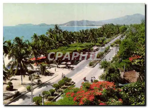 Cartes postales moderne Nha Trang Viet Nam le Centre de la ville Nha Trang