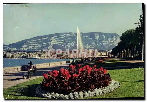Cartes postales moderne Geneve le Quai Wilson et le Jet d'eau