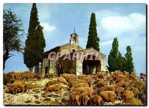 Cartes postales moderne Au Soleil du Midi Symphonie Pastorale