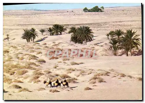 Cartes postales moderne Tunisie le Grand Sud