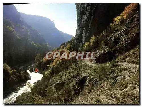 Cartes postales moderne Les Gorges du Verdon Var Alpes de Haute Provence un des sites les plus grandioses du monde ici l