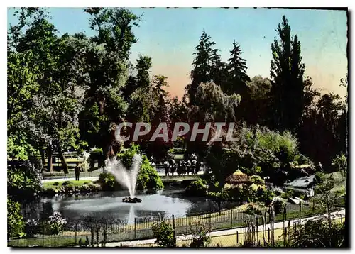 Cartes postales moderne Vichy Dans les Grande Parcs le Bassin des Cygnes