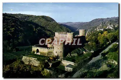 Cartes postales moderne Gorges de la Sioule le Chateau feodal de Chouvigny Allier dominant la Sioule