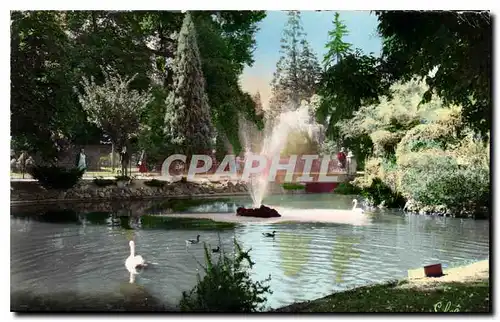 Cartes postales moderne Vichy Allier le Lac et les Cygnes