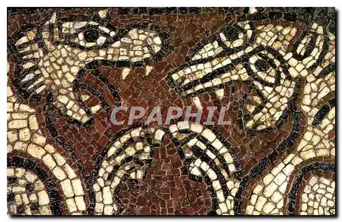 Cartes postales moderne Monastere de Ganagobie Prieure fonde avant 939 Eglise du XIIeme Mosaique du XIIeme detail Lions