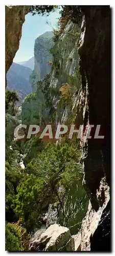 Cartes postales moderne Paysages de France Gorges du Verdon Var Alpes de Haute Provence un des sites les plus grandioses